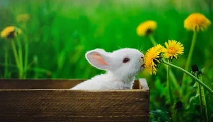 备战U23亚洲杯检验球队阵容 U22国足热身小胜